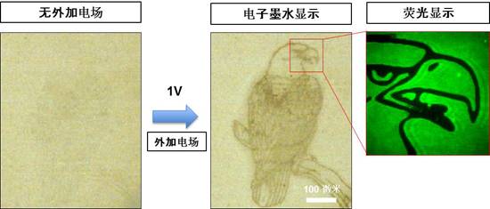 色情直播