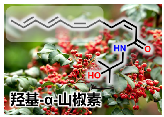 色情直播
