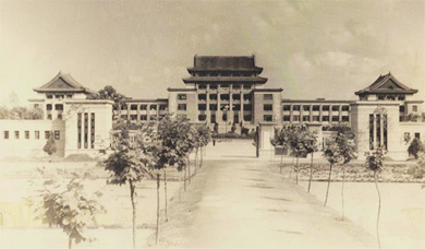 色情直播